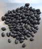 100 gr seeds Black Bean, frijol (Phaseolus vulgaris sp.)