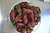 10gr Habanero Chocolate seeds (Capsicum chinense)