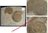 Ammonite - Plaque 32,5 x 25,5 cm avec 2 ammonites fossilisées - Toarcien - FRANCE