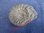 Ammonite fossilisée - Diamètre : 4 cm - Albien Moyen (Environ 108 millions d'années) - PEROU