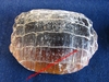 Palai de Raie fossilisé - Dimensions : 7 x 6 cm - Provenance : CHILI.