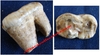 Ours - Dent fossilisée de dimensions 3 x 3 x 1,8 cm environ - Néolithique - Provenance : POLOGNE