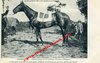 LANNION (22) - "RAISOULI" cheval alezan né en 1908 à Mr le Comte de CARCARADEC, Château de KERIVON -