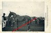 BLAIN (44) - cheval "KERMESSE" trotteuse, baie, née en 1910 appartenant à Mr Jules BOUTIN