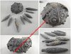 Reboulicidaris rebouli - Oursin fossilisé avec 8 darioles fossilisées - Ø oursin : 5 cm environ...