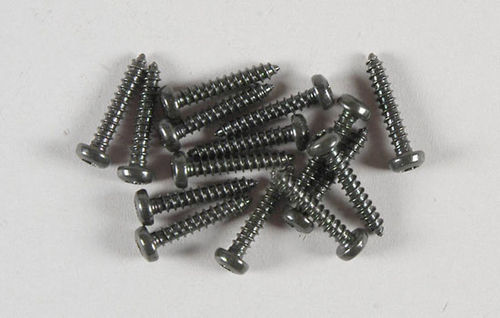FG - Pan-head sheet metal screw with Torx 2,9x16 mm, 15pcs [06914/16]
