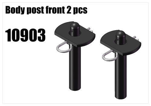 RS5 - Plastic body post [10700]
