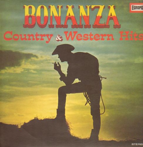 VINYL 33 T the nashville ramblers bonanza country et western hits 1971