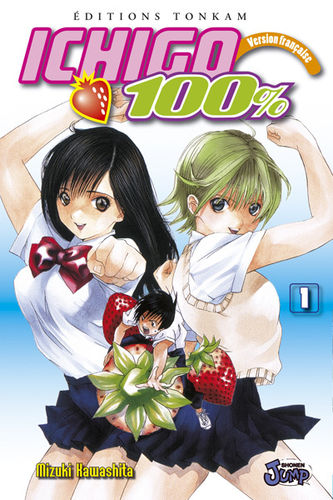 BD ichigo 100% mizuki rawashita  N°1 manga 2006