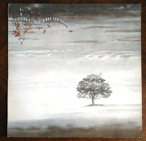 VINYL 33 T genesis wind and wuthering 1976