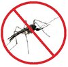 Samenpaket  für anti Mücken Pflanzen Kräuter