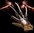 Freddy Krueger glove - New version nightmare elm st