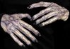Horror hands monster ghoul gloves - Halloween
