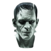 The Frankenstein experiment horror movie mask - Halloween