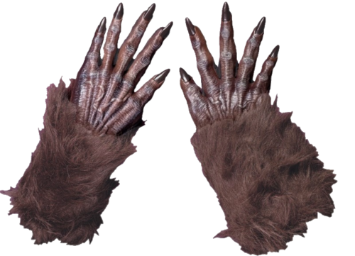braun Wolf-Handschuhe Ein Paar