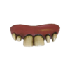 Horror teeth - Dentures / fangs - Halloween
