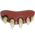 Horror Zähne Reißzähne Zahnersatz