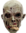 Walking Dead flesh eater horror mask - Halloween mask