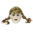 Un masque terrifiant sanglant d'horreur de Annabelle