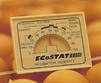 Ecostat Dial