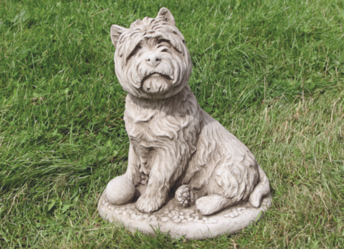 Grote West Highland Terrier